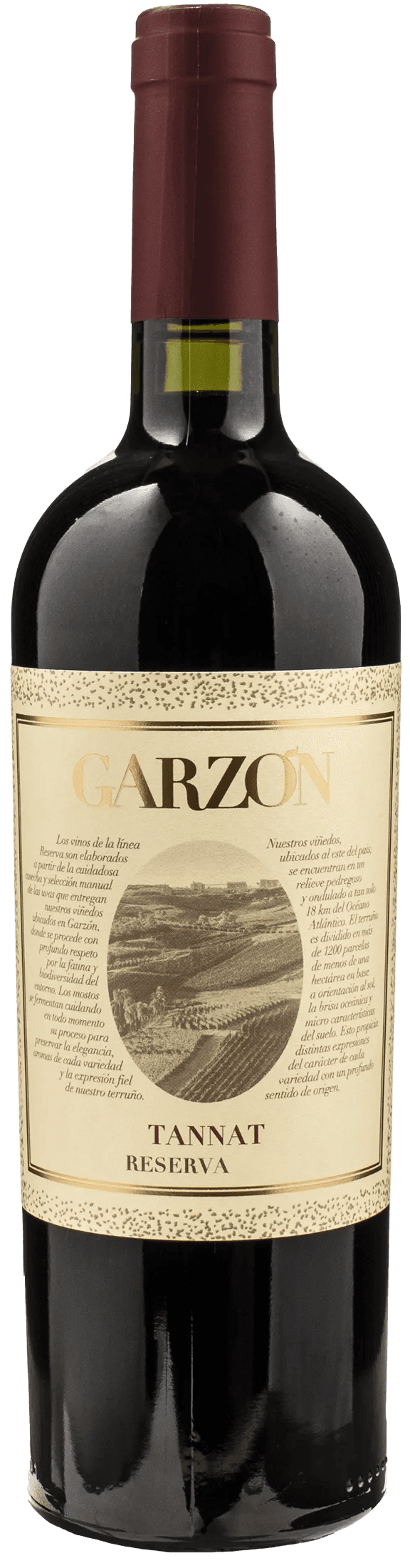 Bodega Garzon Tannat Reserva 2021