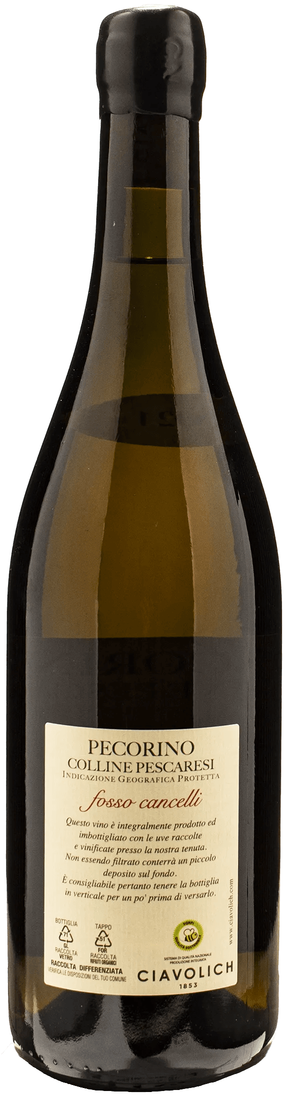 Ciavolich Pecorino Fosso Cancelli 2021