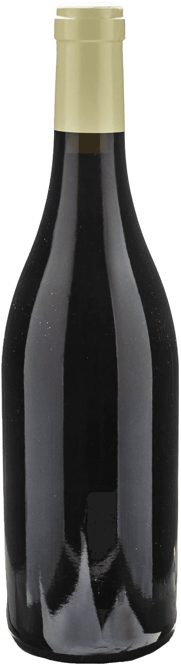 Domaine Bart Marsannay Au Champ Salomon 2021