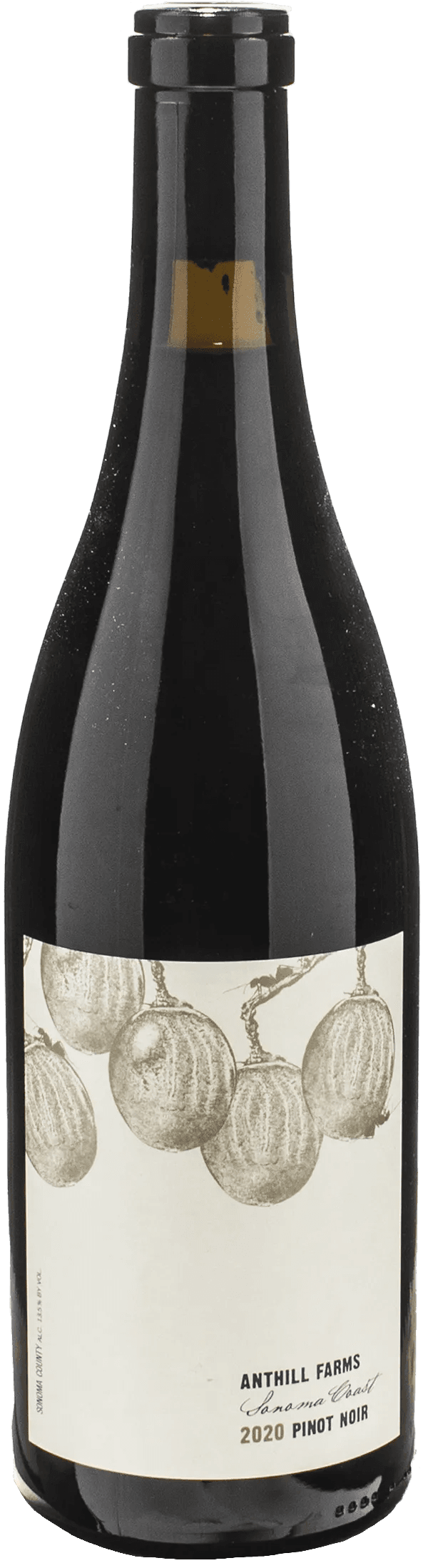 Anthill Farms Pinot Noir Sonoma Coast 2020