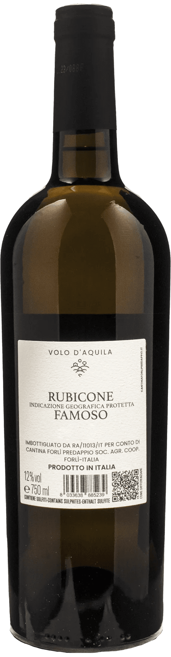 Cantina Forli Predappio Famoso Volo d'Aquila 2023