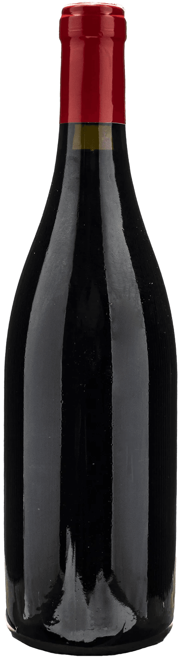 De Fermo Vino Rosso Prologo 2021