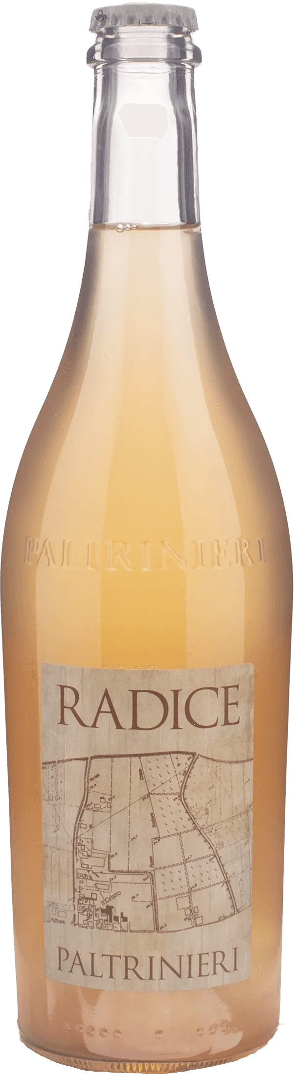 Paltrinieri Lambrusco Radice 2024