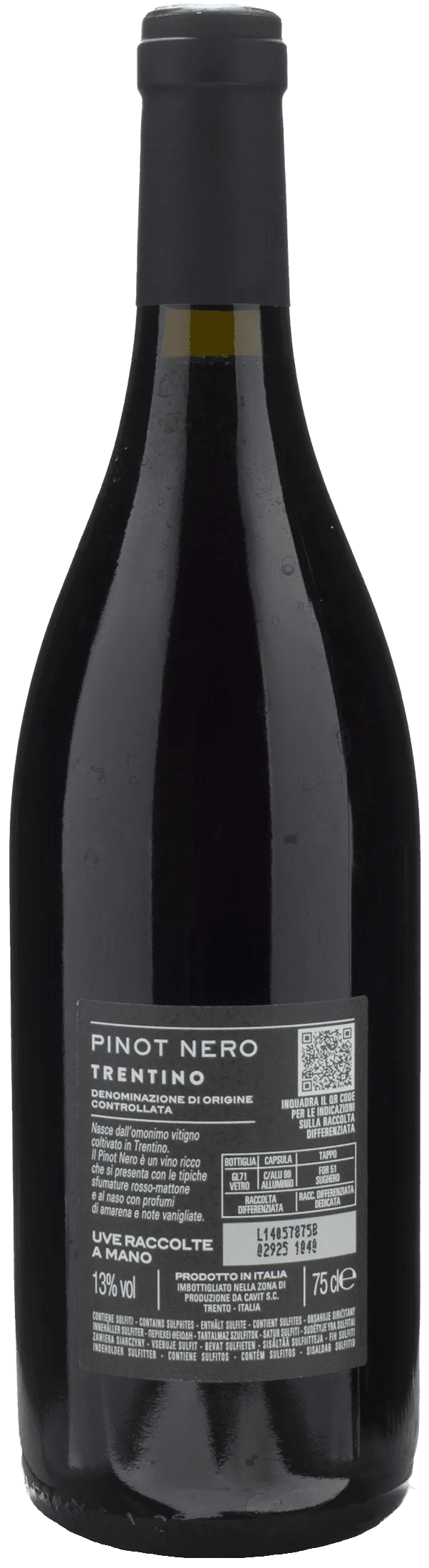 Bottega Vinai Pinot Nero Trentino 2022