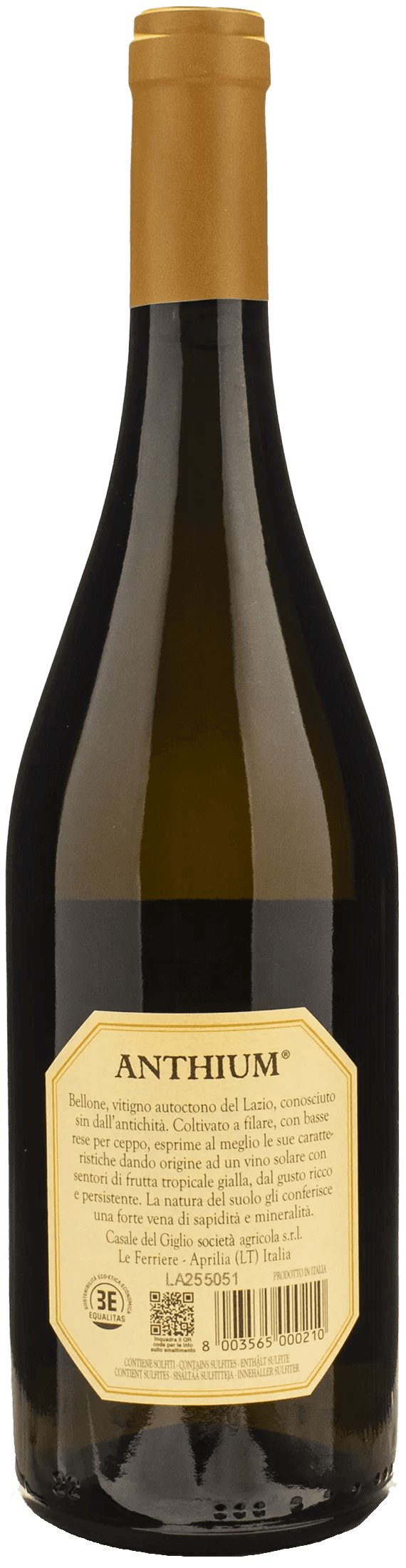 Casale del Giglio Anthium Bellone 2024