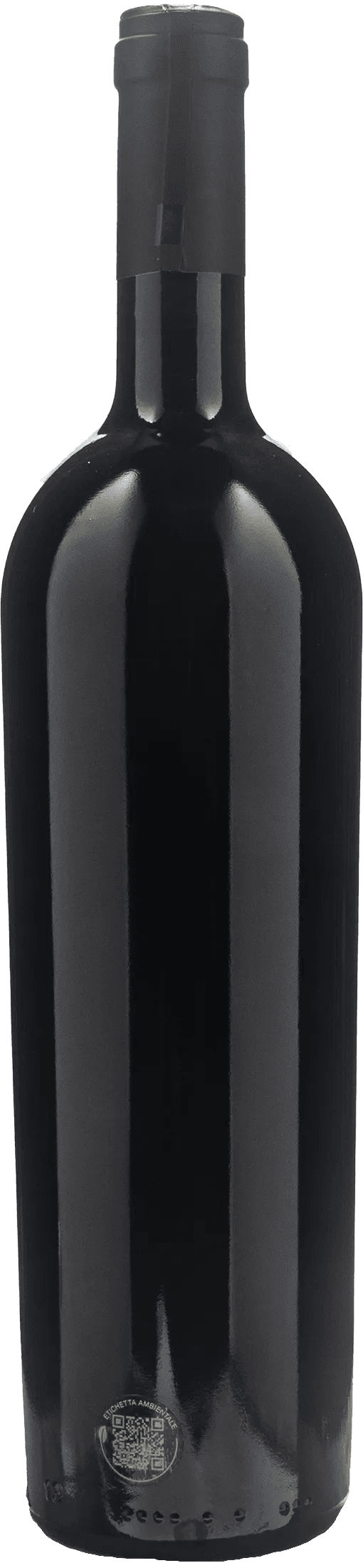Tommaso Bussola L'Errante Rosso 2017