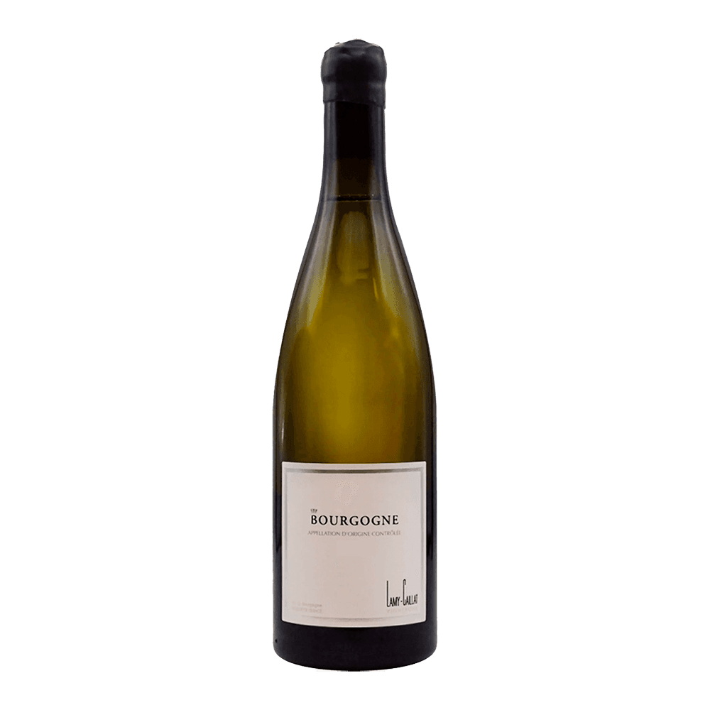 Domaine Lamy-Caillat, Bourgogne Blanc 2020 (75 CL)