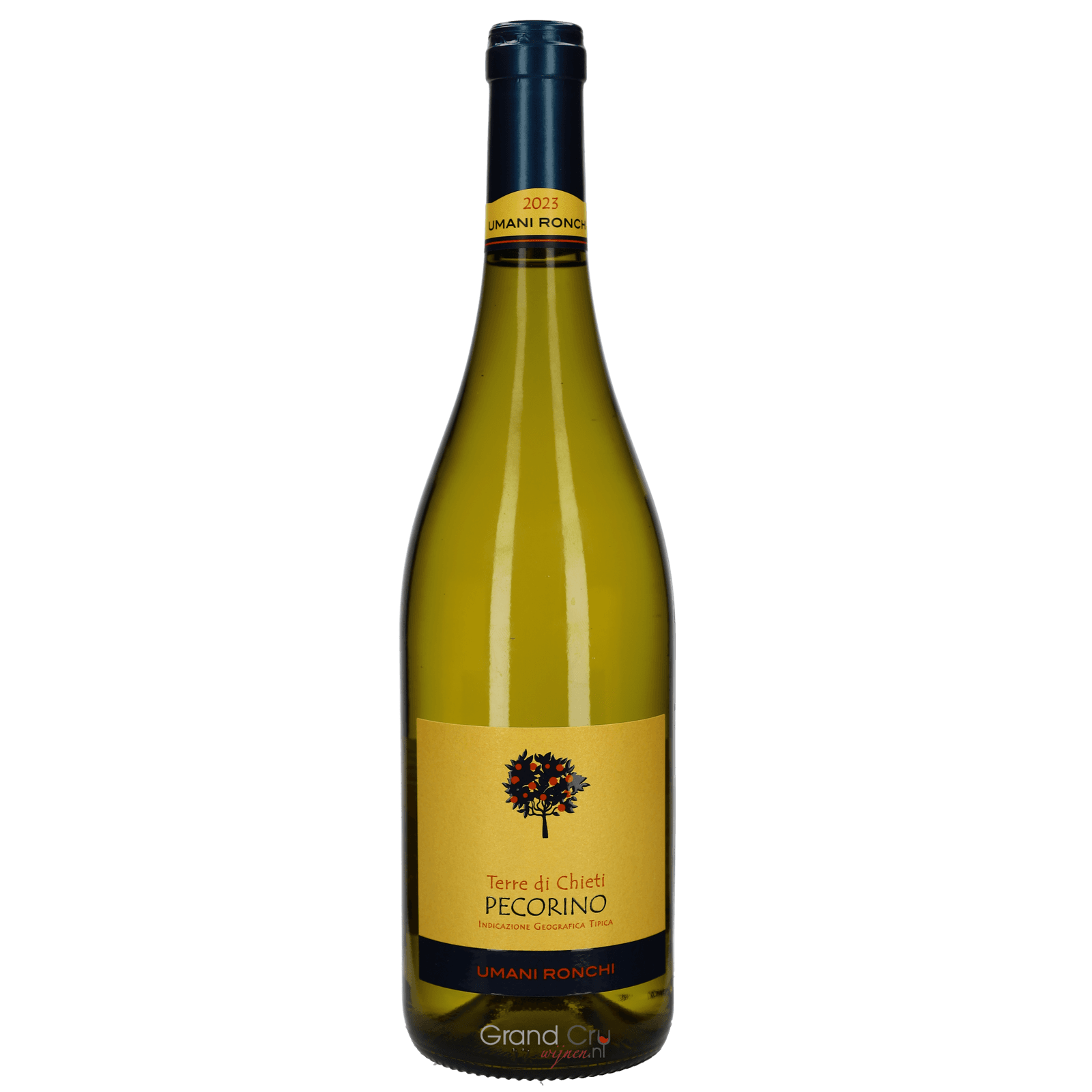 2024 Umani Ronchi Pecorino Terre di Chieti