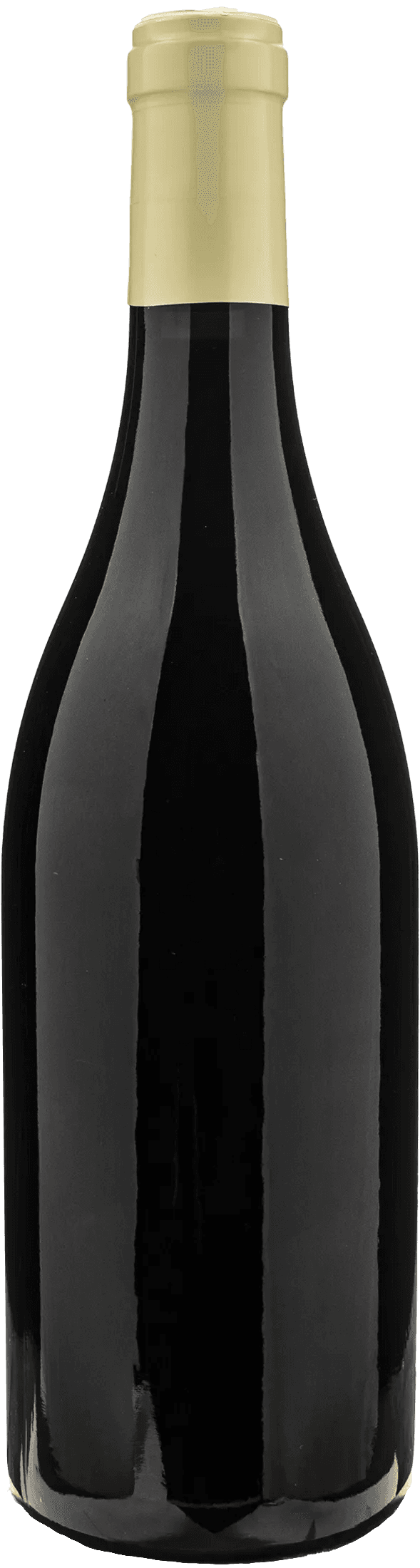 Domaine Bart Marsannay Au Champ Salomon 2022