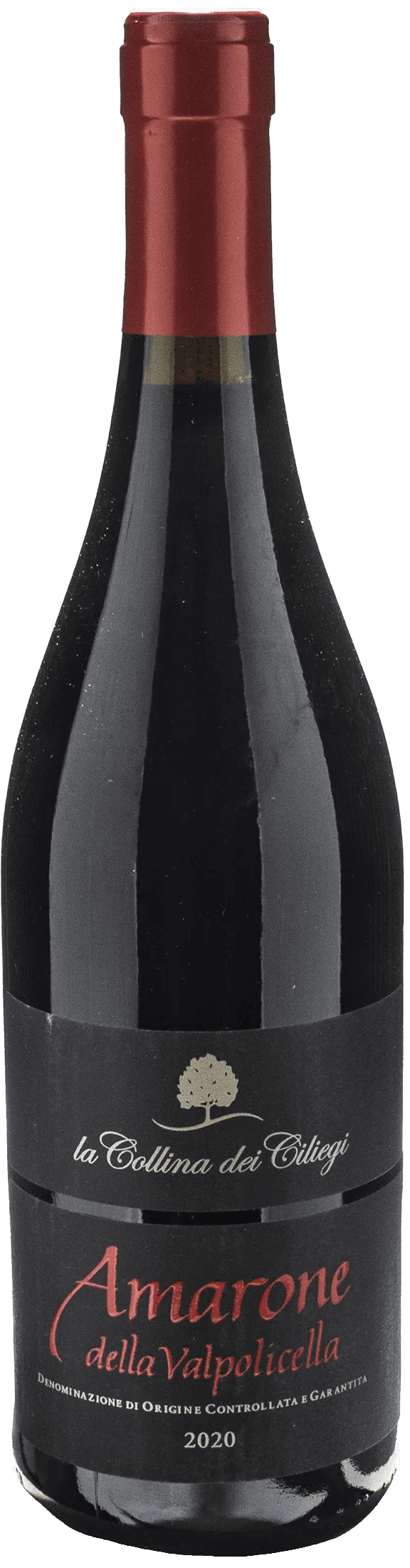 Collina dei Ciliegi Amarone della Valpolicella 2020