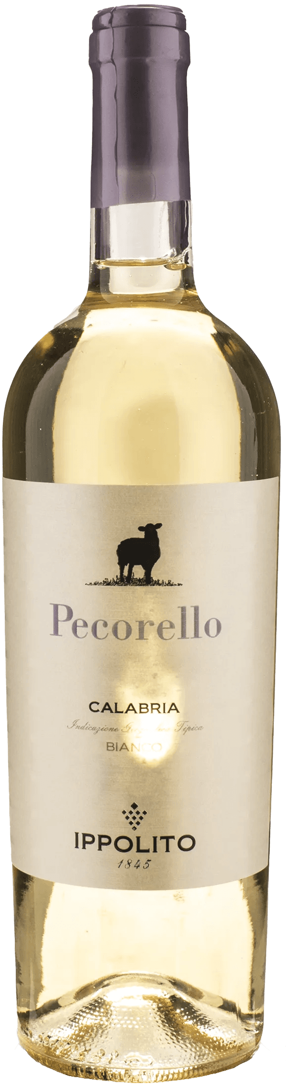 Ippolito 1845 Pecorello 2024