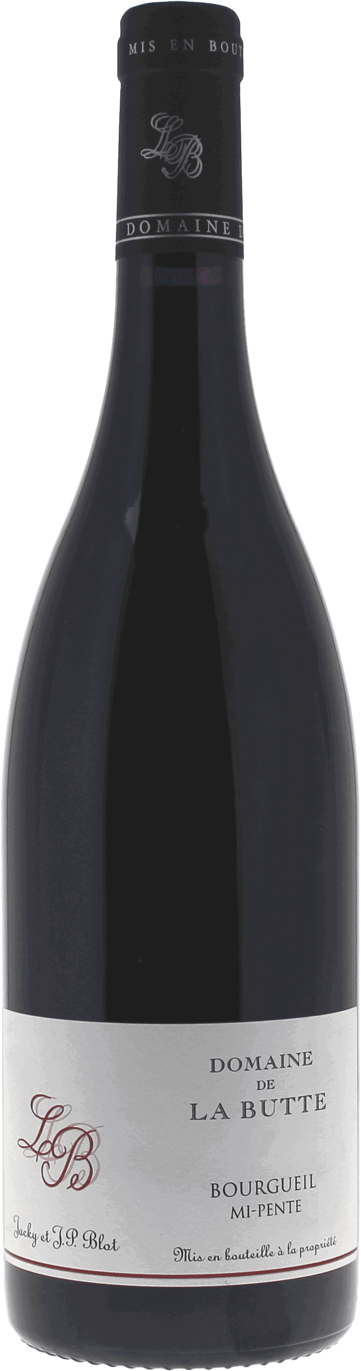 Bourgueil Domaine De La Butte Mi Pente Bourgueil, 2021