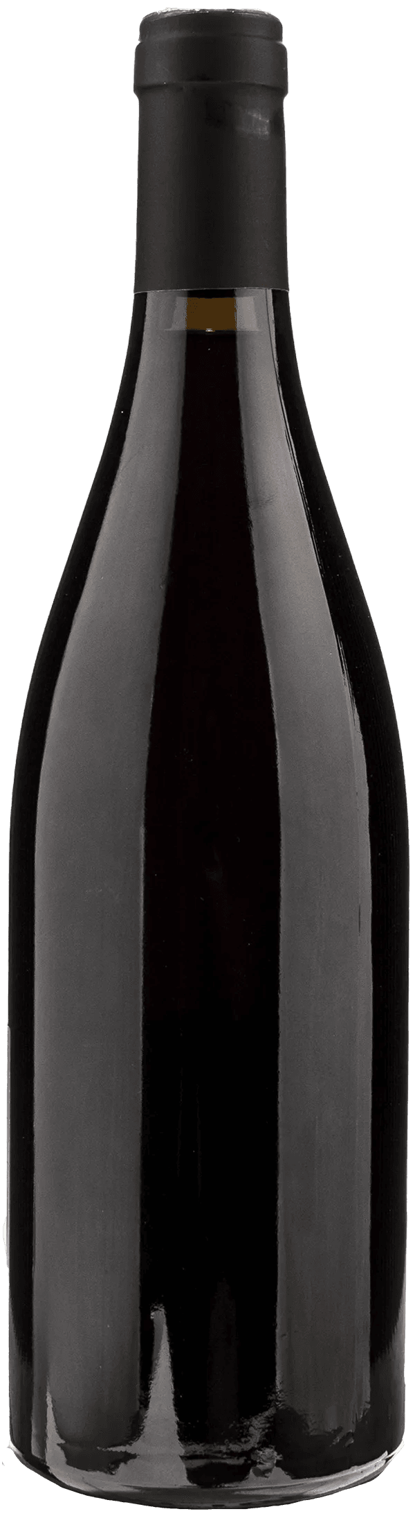 Sylvain Pataille Bourgogne Rouge 2022