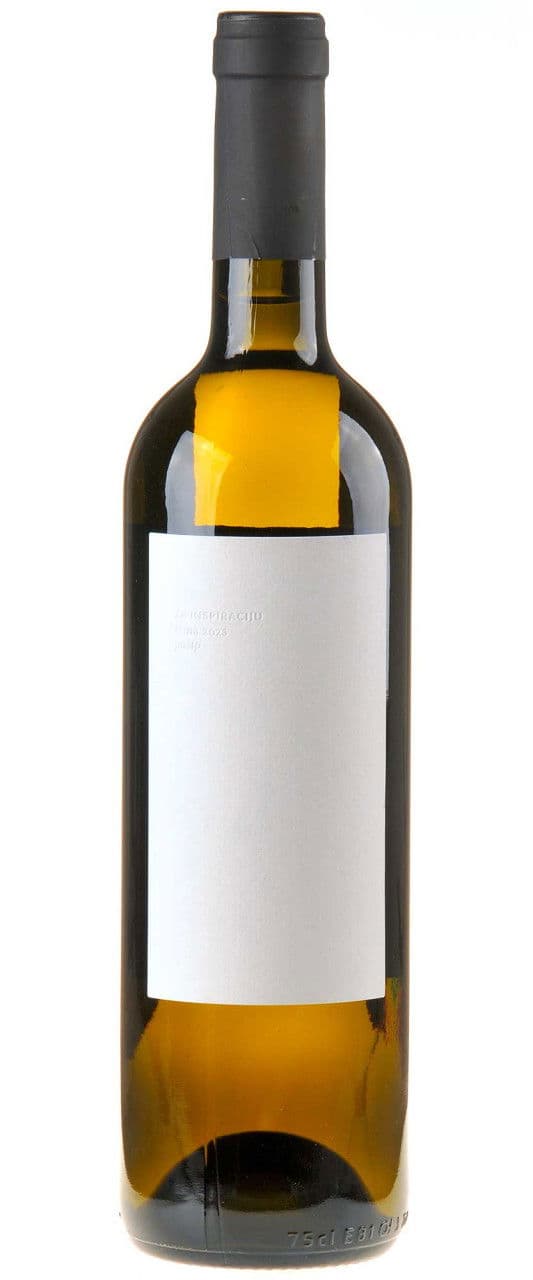 Stina Pošip 2023 white
