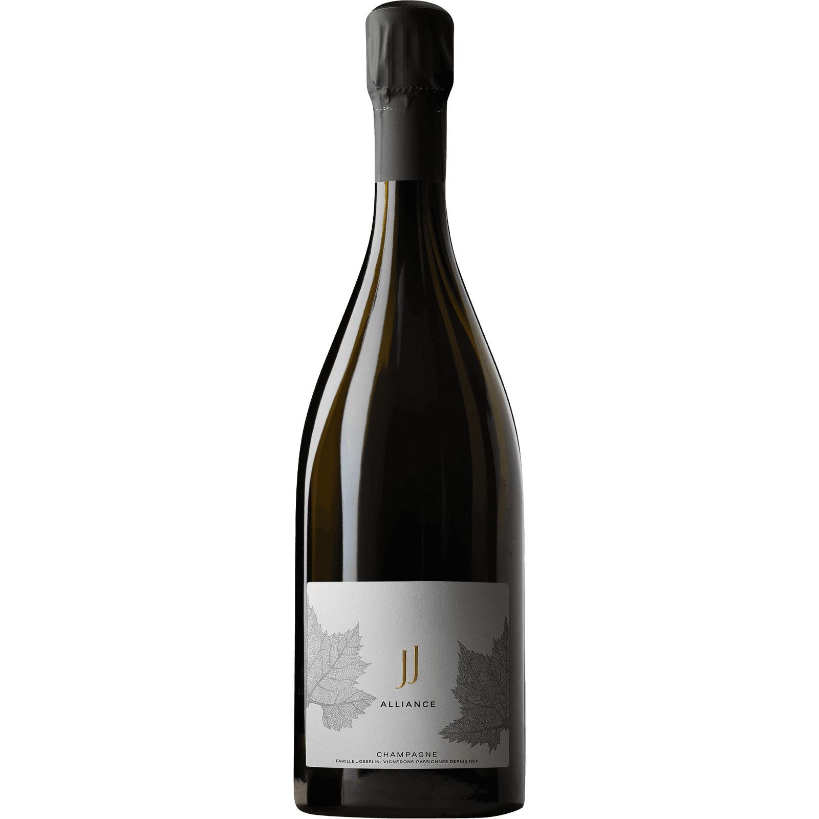 Jean Josselin Alliance R.22 NV