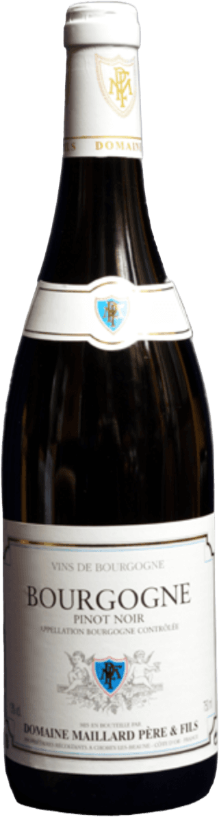 Bourgogne Cote D'or Pinot Noir Domaine Maillard, 2024