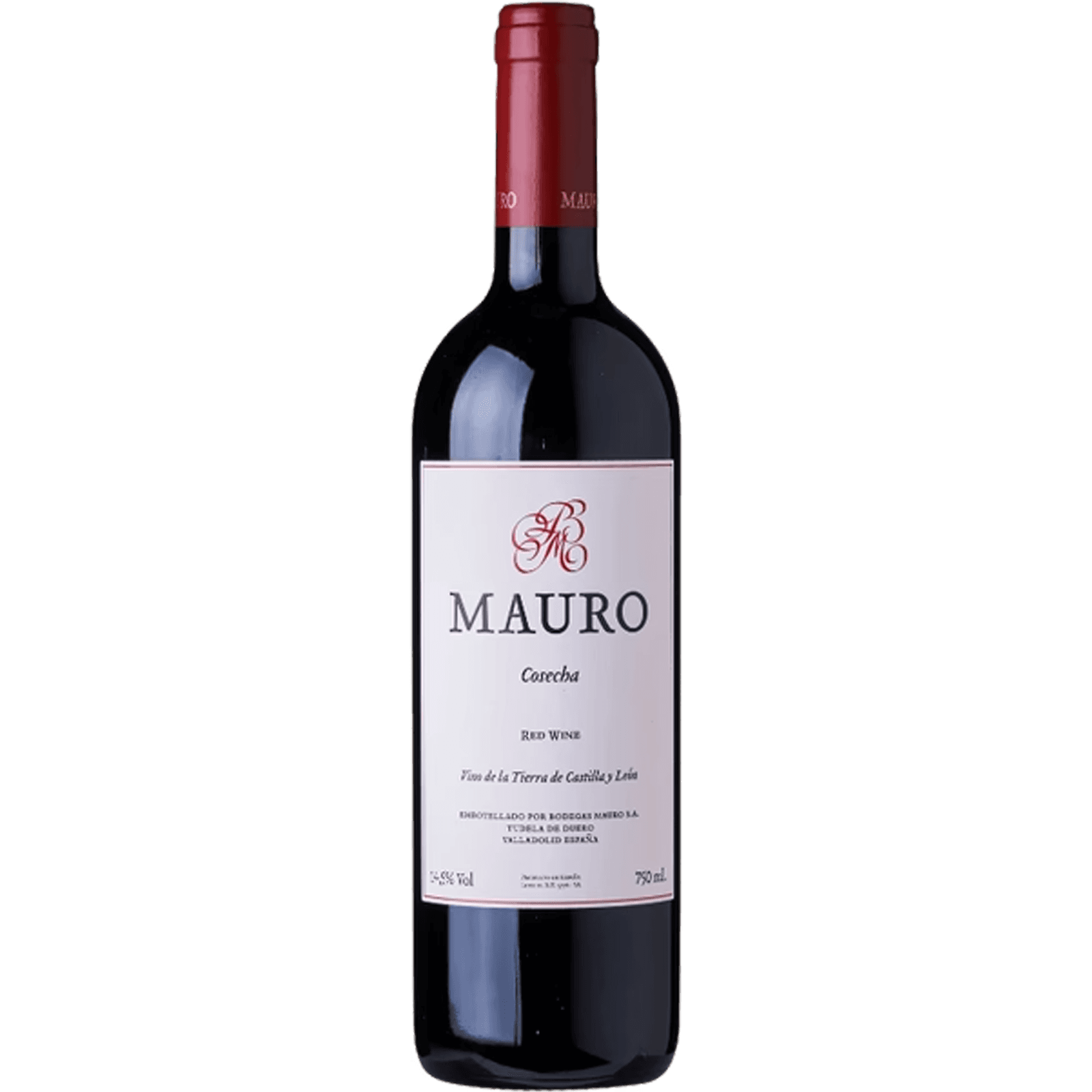 Mauro 2023