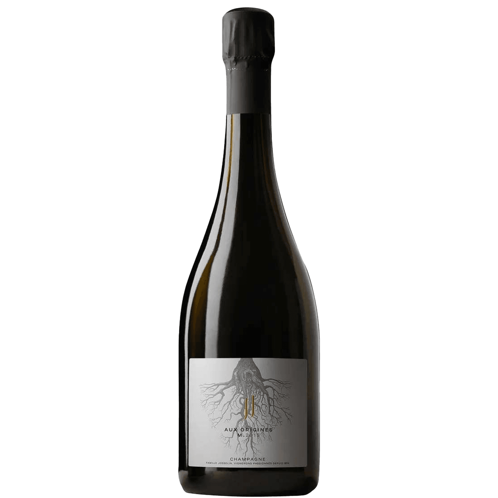Jean Josselin Aux Origines