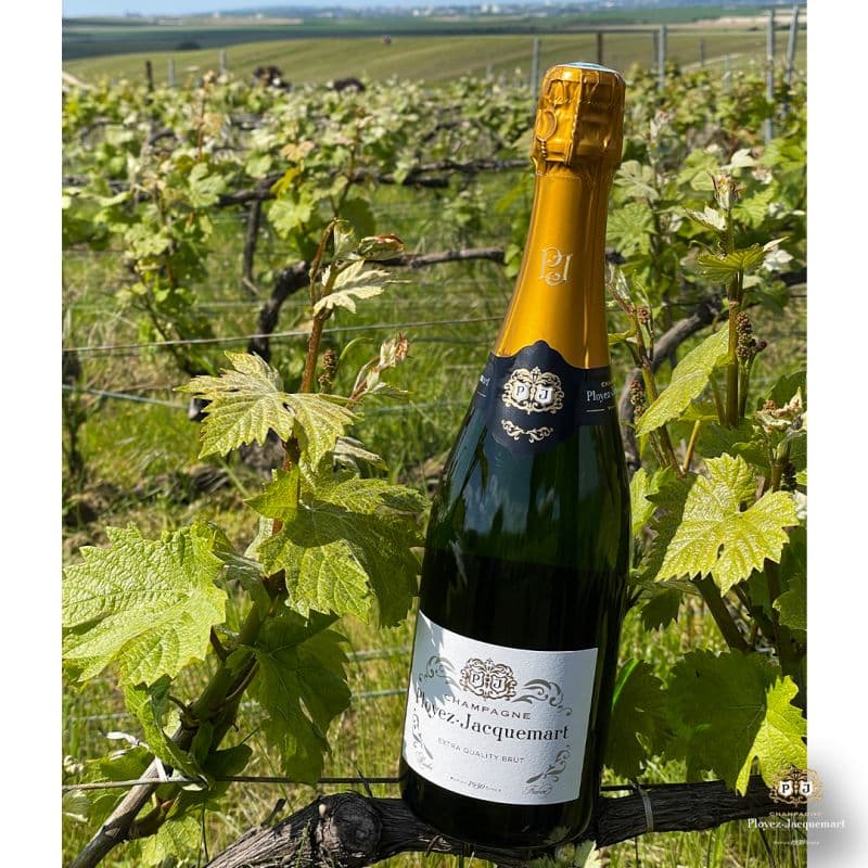 Extra Quality Brut Champagne