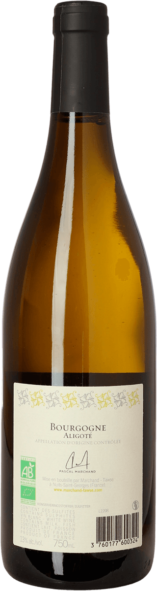 2022 Aligoté, Marchand-Tawse