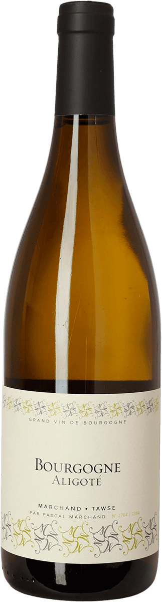 2022 Aligoté, Marchand-Tawse