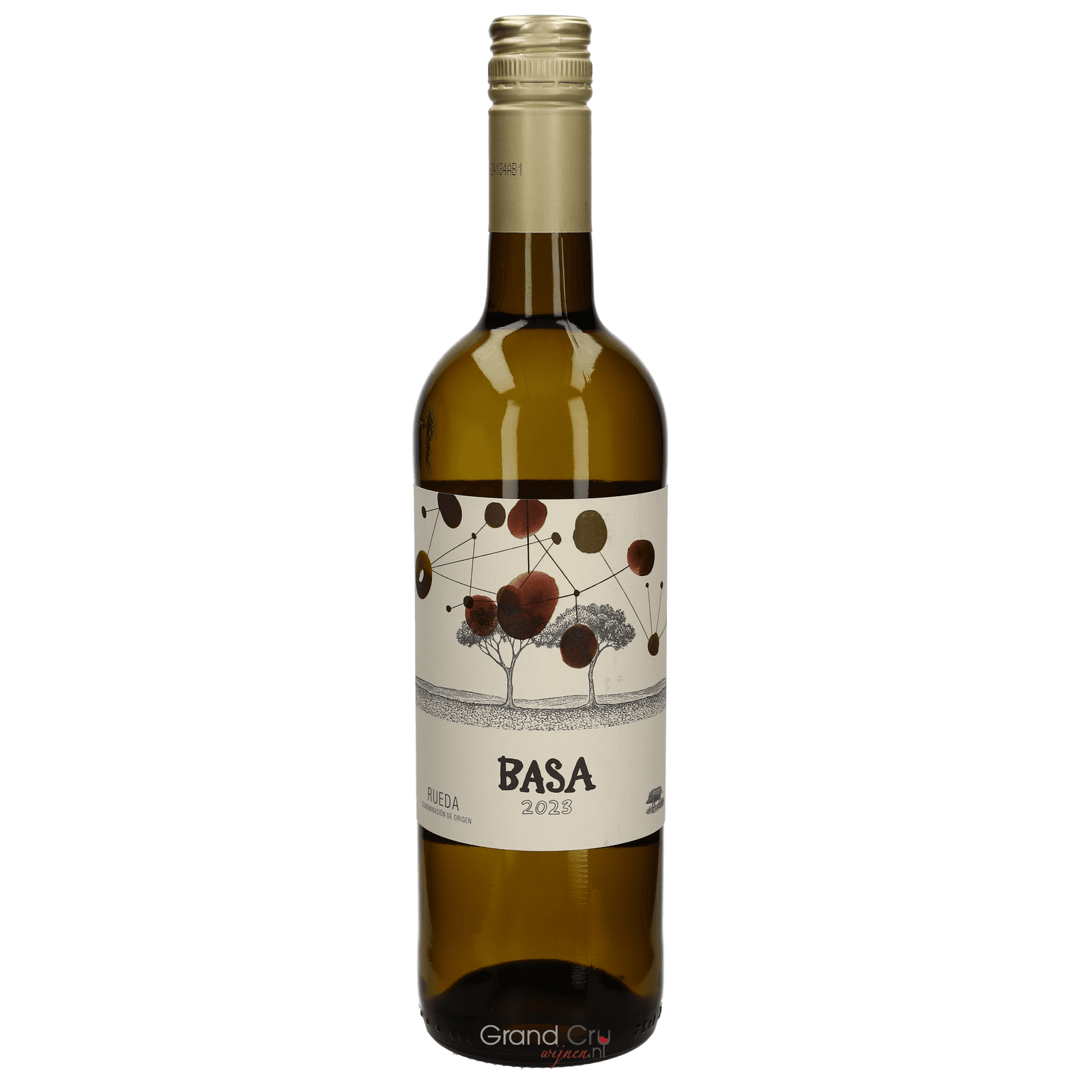 2024 Telmo Rodriguez Basa Verdejo Magnum