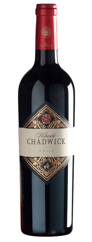 2021 Vinedo Chadwick