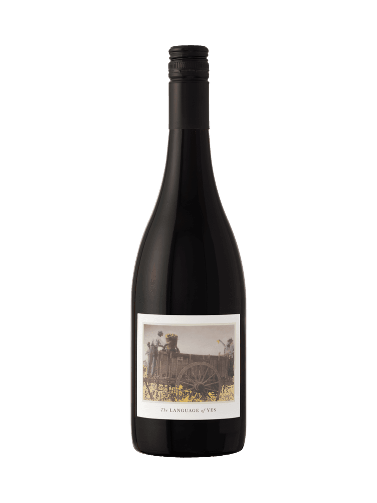 2021 The Language of Yes Syrah Rancho Real Vineyard