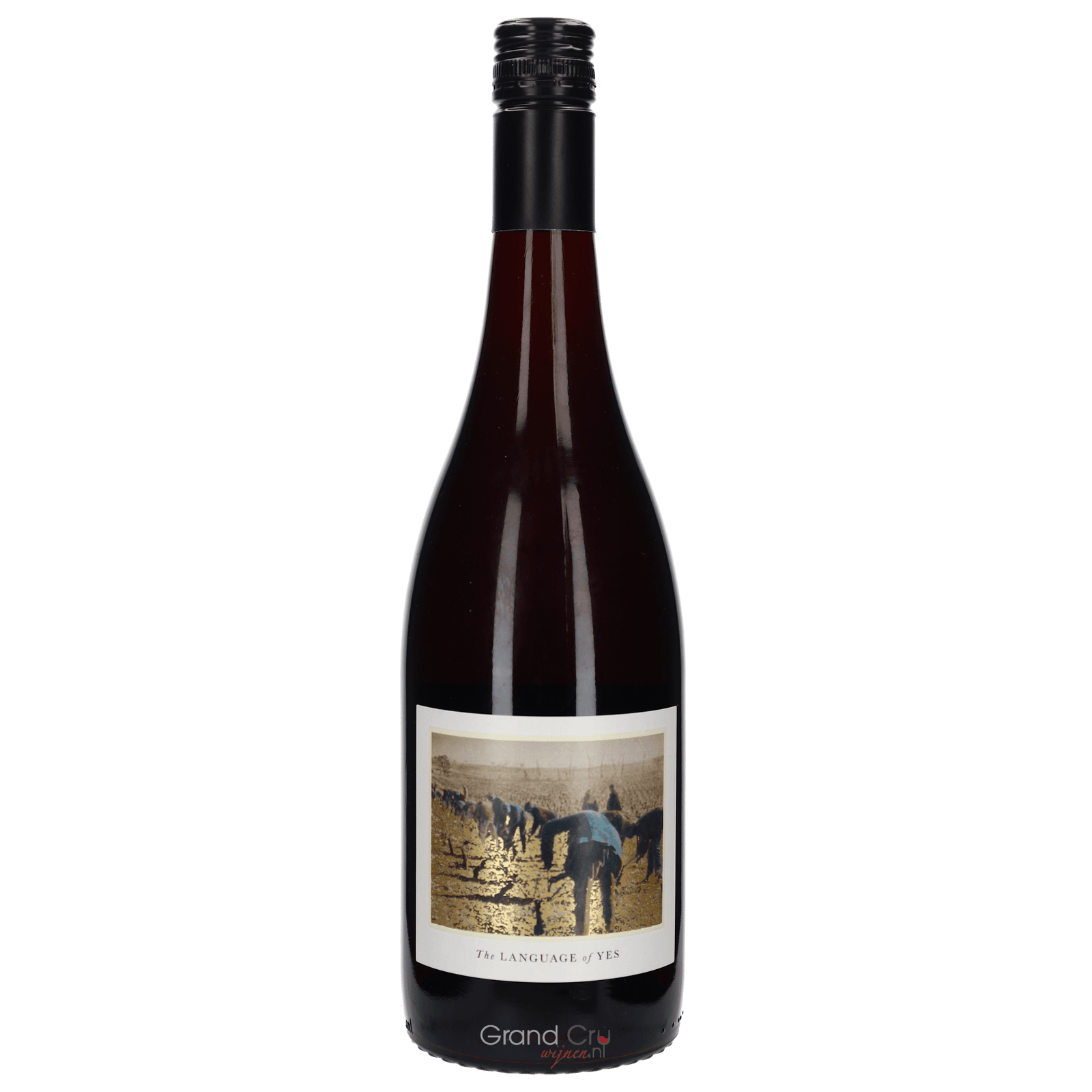 2021 The Language of Yes Grenache Rancho Real Vineyard
