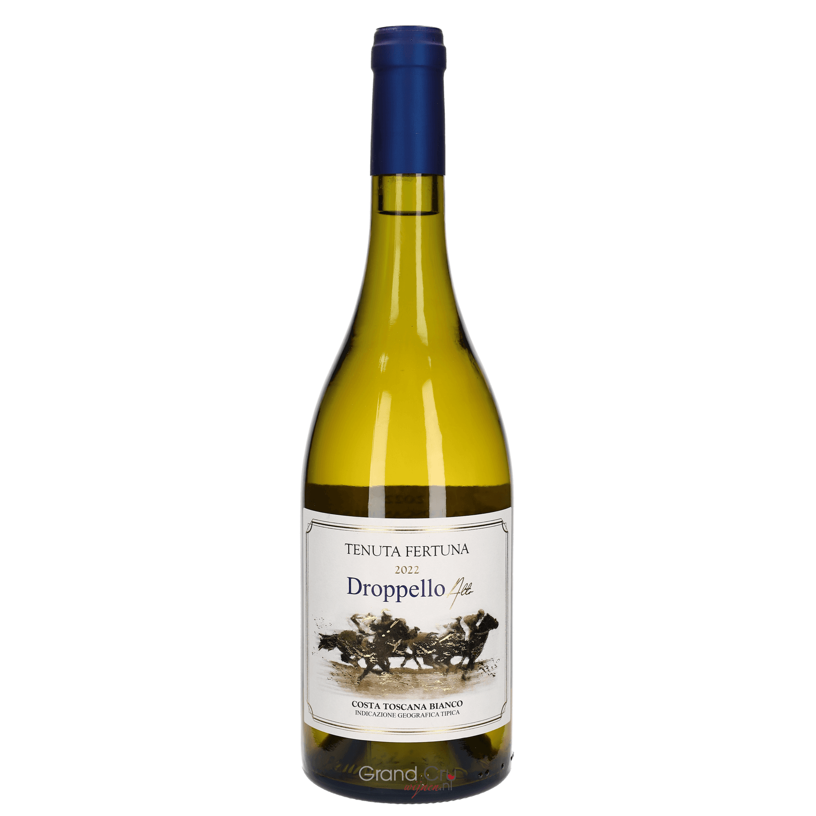 2022 Fertuna Droppello Alta Bianco Costa Toscane