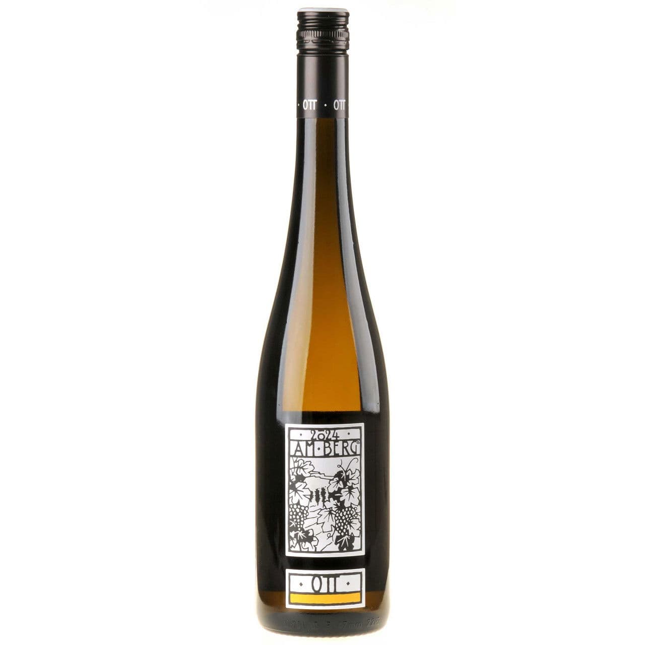 Bernhard Ott Grüner Veltliner am Berg Bio 2024 white