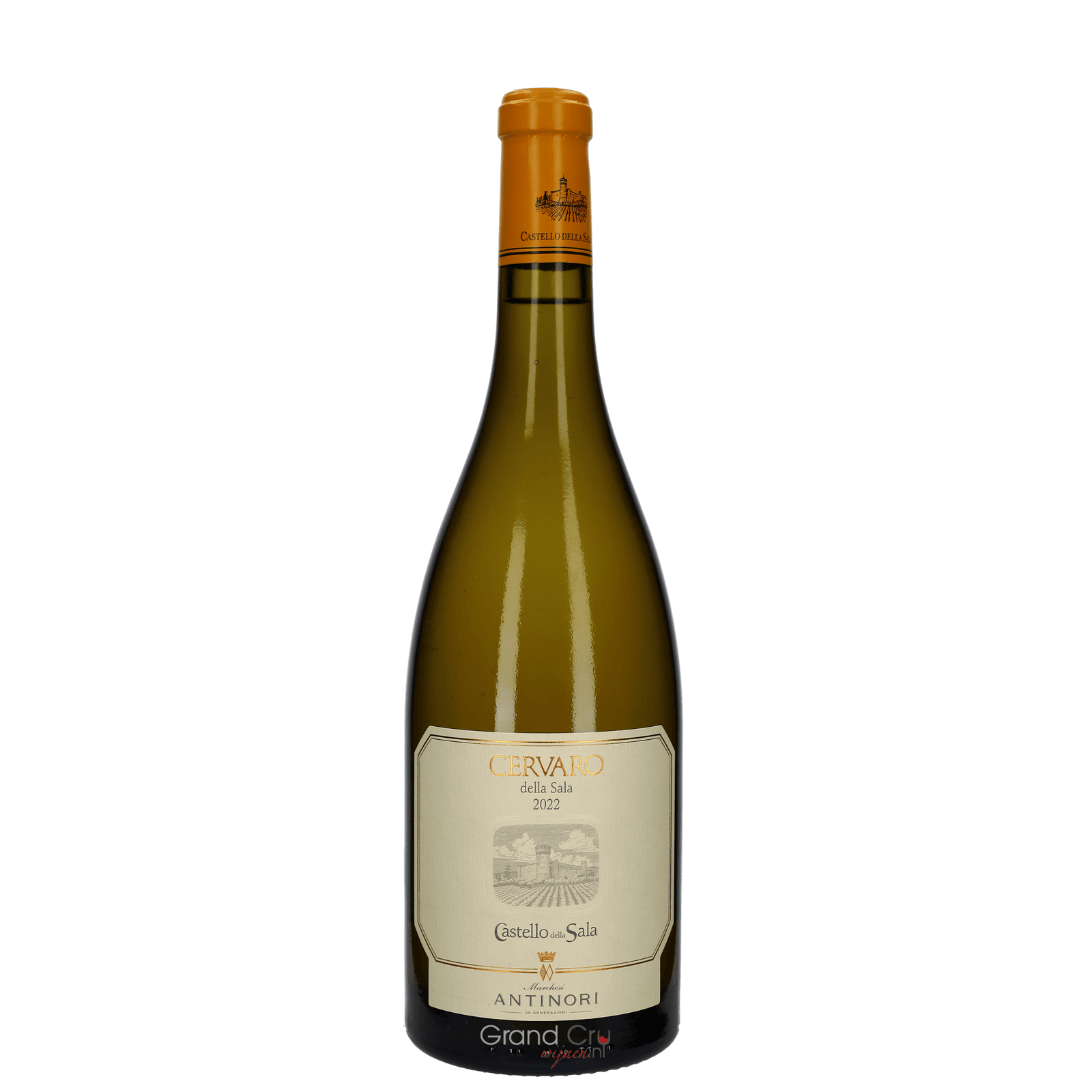 2023 Antinori Cervaro della Sala