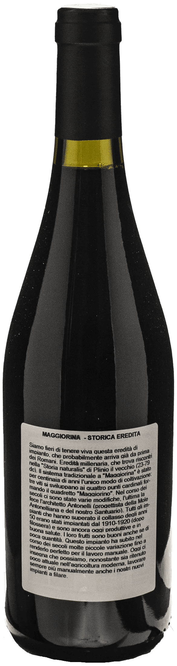 Le Piane La Maggiorina 2022