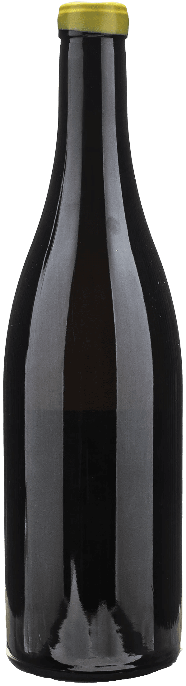 Eduardo Torres Acosta Versante Nord 2023