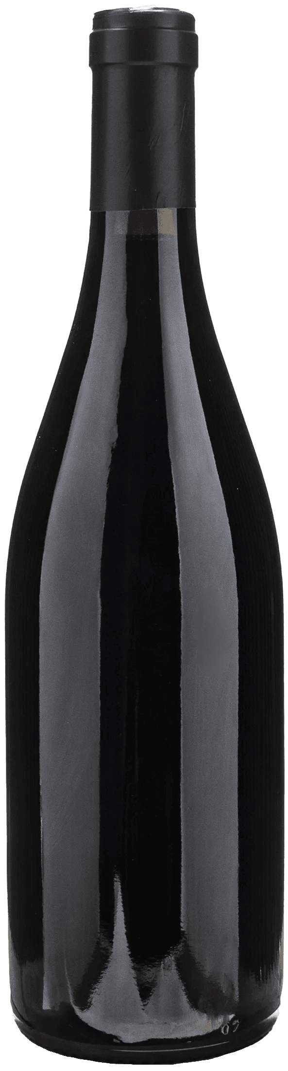 Sylvain Pataille Bourgogne Rouge 2023