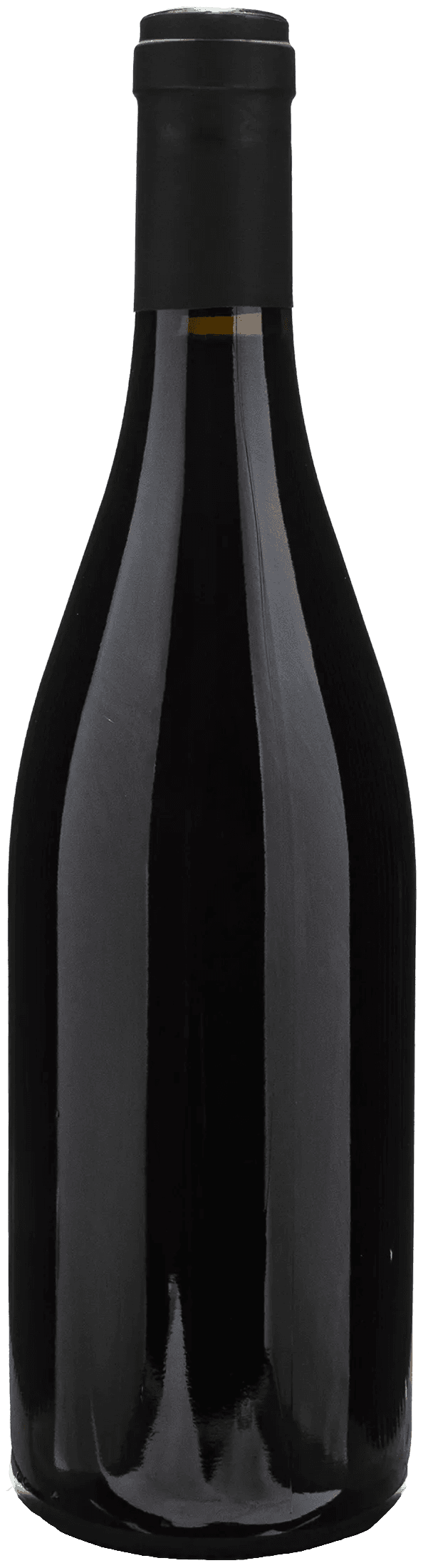 Sylvain Pataille Marsannay 2023