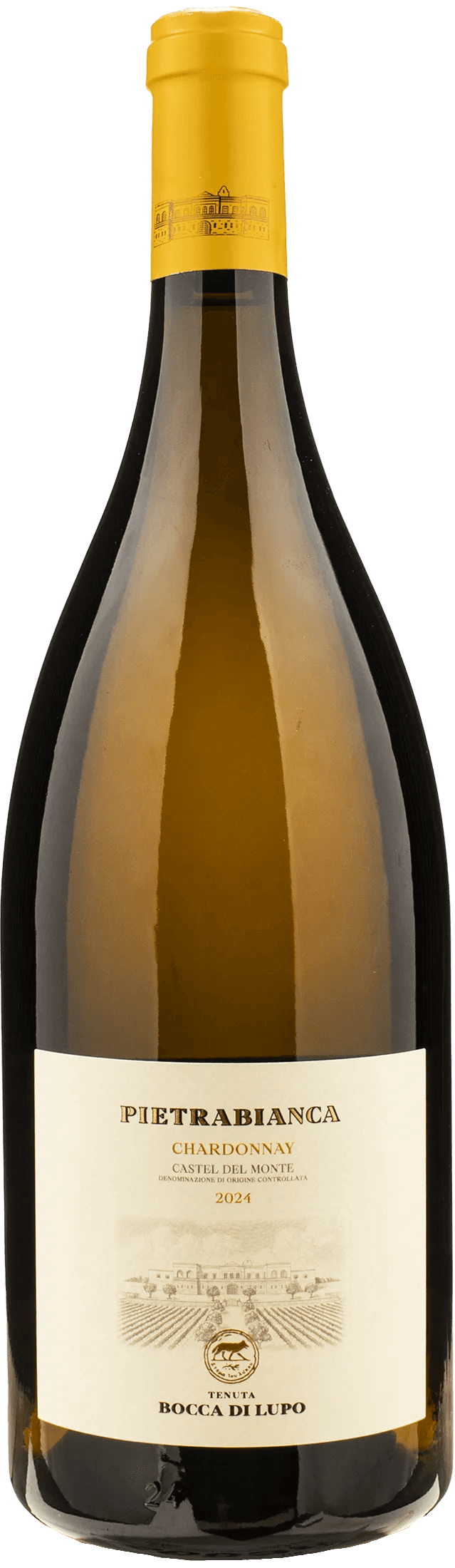 Bocca di Lupo Castel del Monte Pietrabianca Chardonnay Magnum 2024
