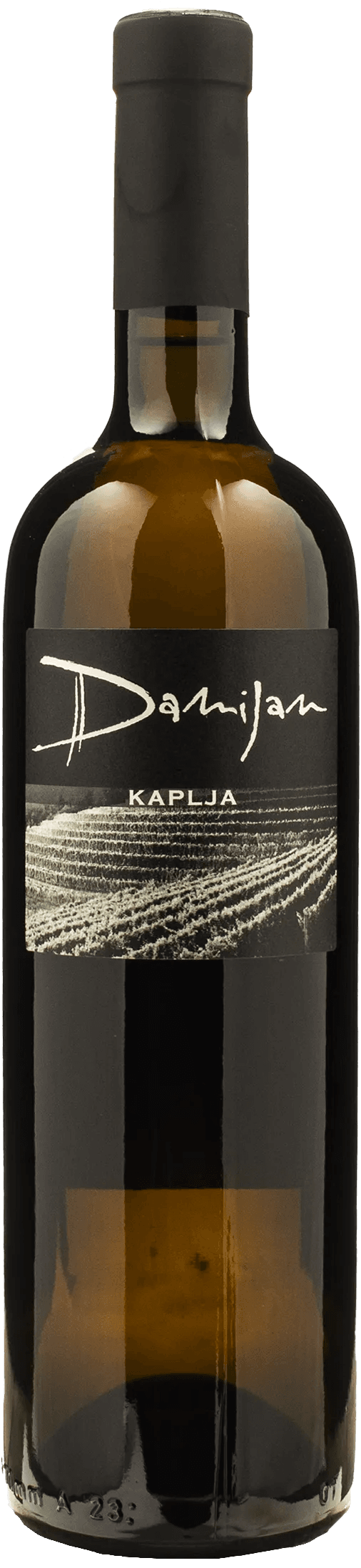 Damijan Podversic Kaplja 2021