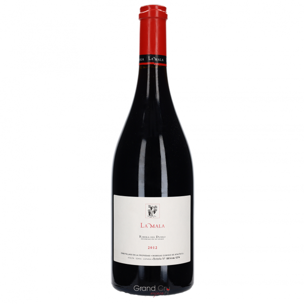 2013 Dominio de Atauta San Juan - Bottle Hero