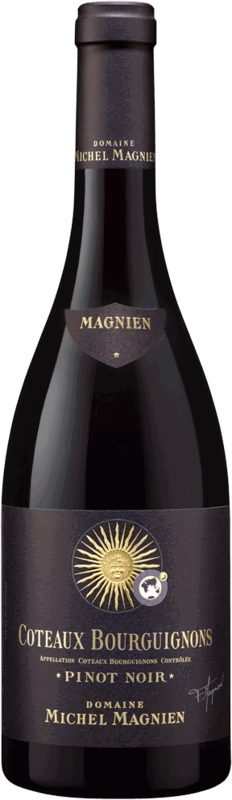 Domaine Michel Magnien et Fils, Coteaux Bourguignons Rouge, 2021 - Bottle Hero
