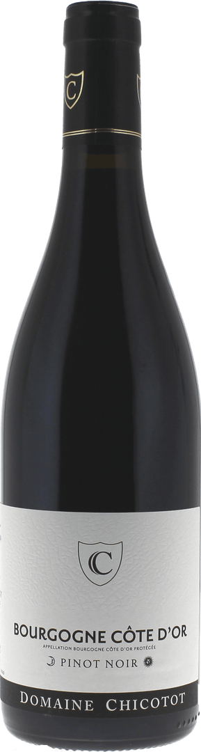 Bourgogne Cote D'or Pinot Noir Domaine Chicotot, 2021 - Bottle Hero