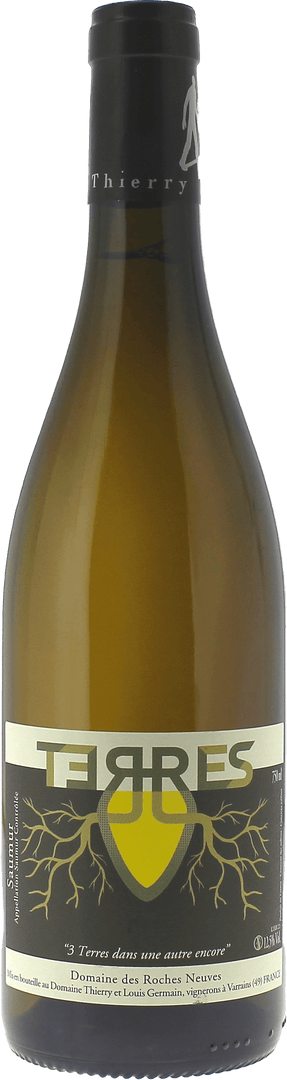Saumur Terres -Amphore Blanc Domaine Des Roches Neuves Saumur, 2023 - Bottle Hero
