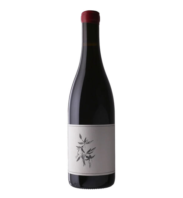 Arnot-Roberts Zinfandel, Kirschenmann Vineyard 2023 - Bottle Hero