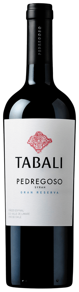 Tabali, Pedregoso Gran Reserva Syrah 2023 - Bottle Hero