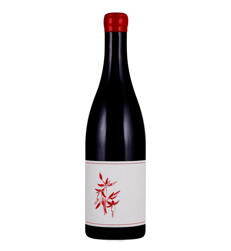 Arnot-Roberts Gamay Noir, El Dorado 2023