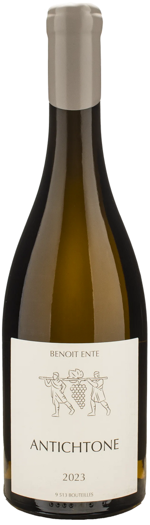 Benoit Ente Aligote Antichtone 2023 - Bottle Hero