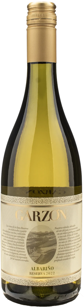 Bodega Garzon Albarino Reserva 2022 - Bottle Hero