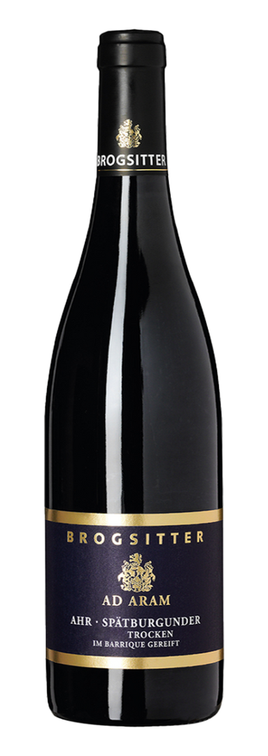 Brogsitter Weingüter, Rheinhessen Edition-B Spätburgunder Trocken Barrique 2018 - Bottle Hero