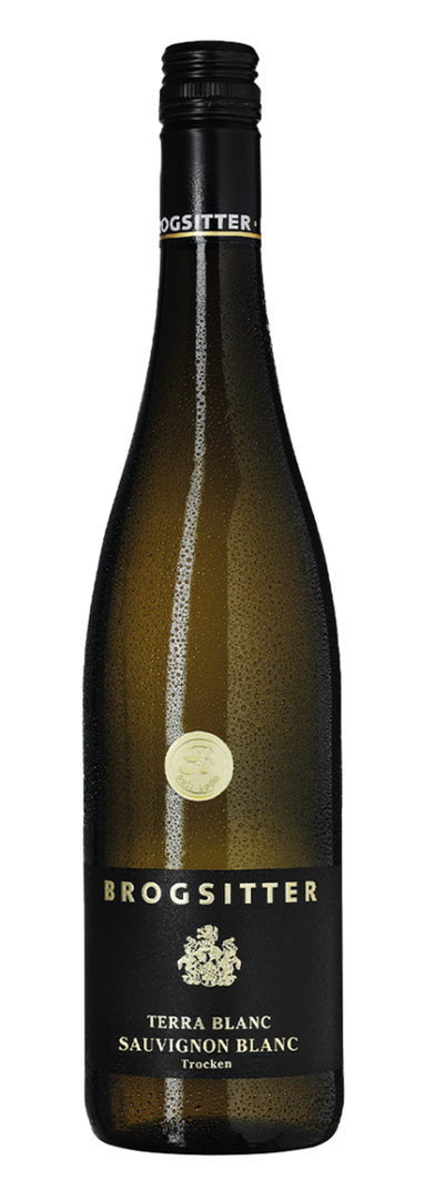 Brogsitter Weingüter, Rheinhessen Terra Blanc Sauvignon Blanc 2024 - Bottle Hero