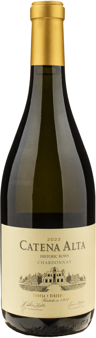 Catena Zapata Catena Alta Chardonnay 2022 - Bottle Hero